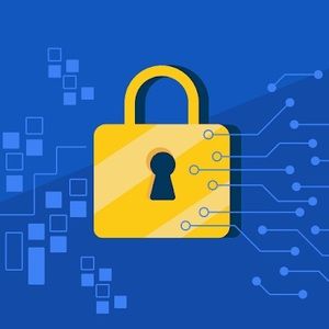 Meet your Posher, Camelia